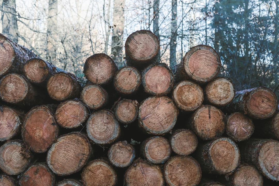 Loglar üzerinde hassas verinin maskelemesini gösteren görsel