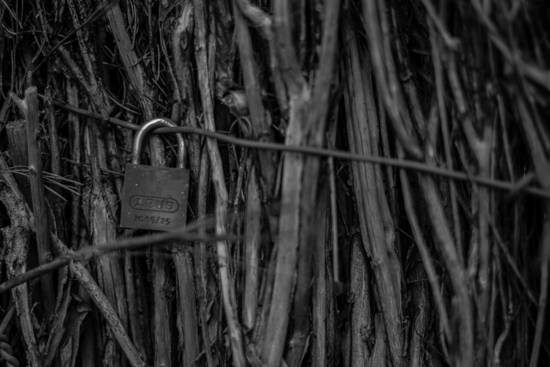 Sunucu Log Anonimleştirme: Saklama ve Uyum İçin Net Politikalar