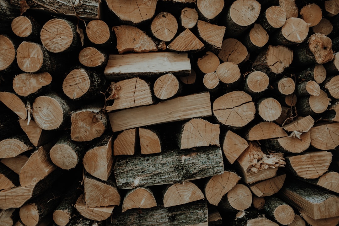 Sunucu Logları Yönetimi: Maliyet-Etkin Saklama