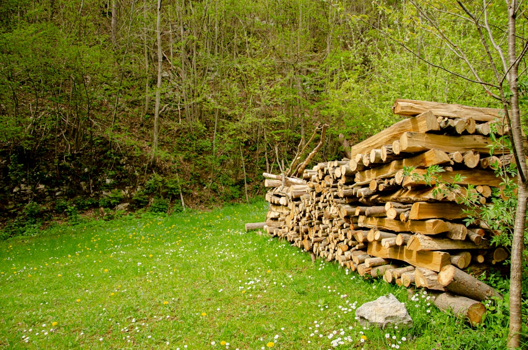 Blockchain temelinde log arşiv mimarisini gösteren şematik görüntü