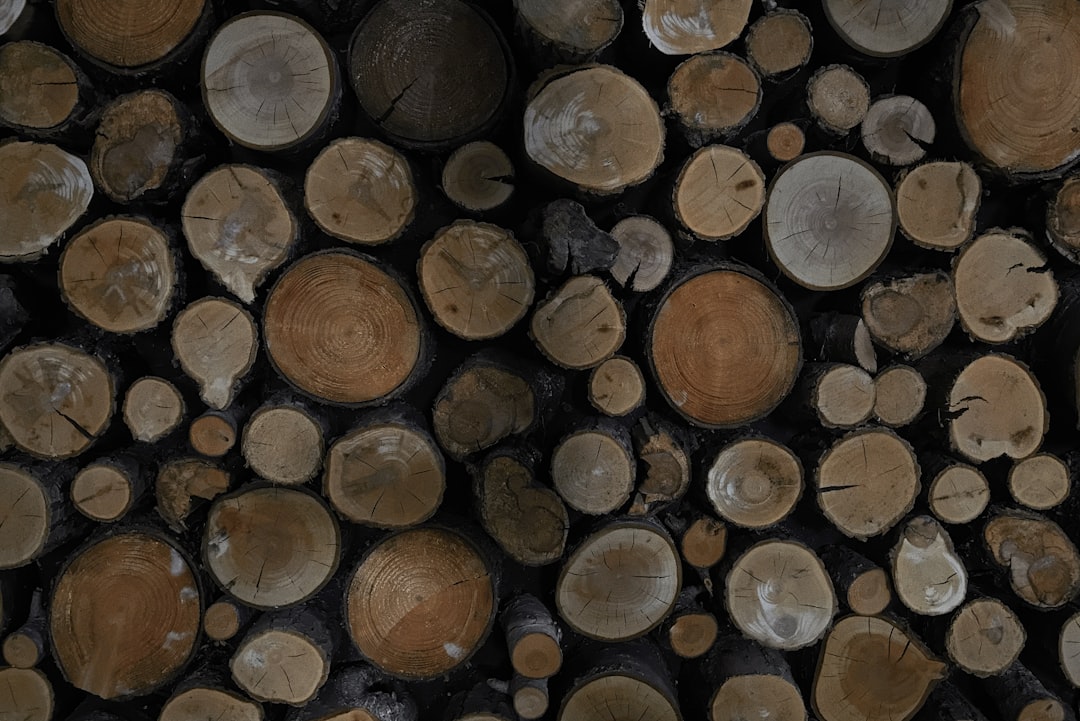 Merkezi log gösterge paneli üzerinde çoklu log kaynaklarının gösterildiği bir kare