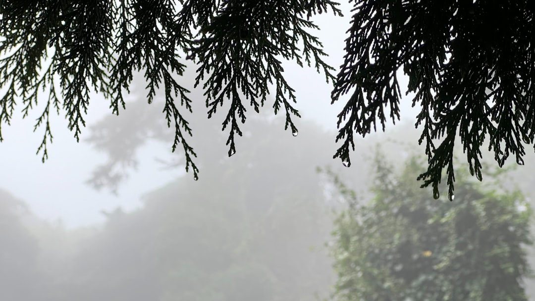 Kamu ve Özel Bulutlarda NLP Destekli Olay Özeti ve Acil Müdahale Rehberi