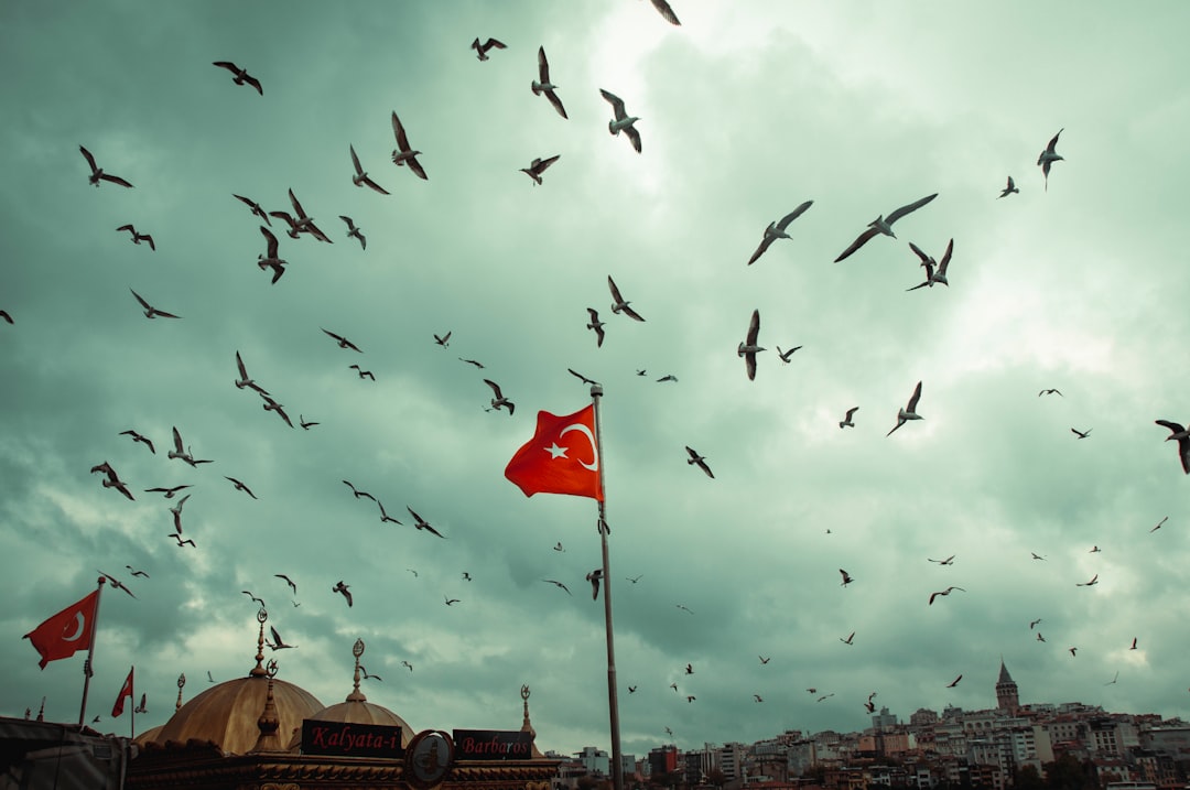 SOAR Tabanlı Güvenlik Olay Müdahale Rehberi